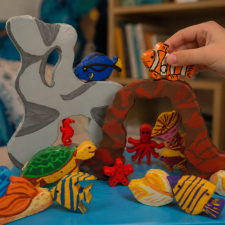 Coffret "La grande barrière de corail"